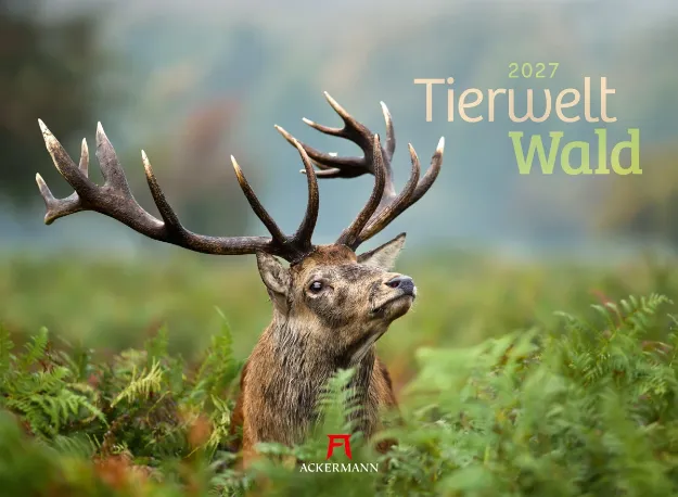 Bild von Tierwelt Wald Kalender 2027