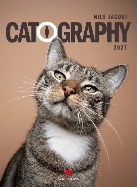 Bild von Catography Katzen-Kalender 2027