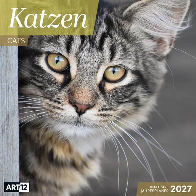 Bild von Katzen Kalender 2027 - 30x30 - Art12