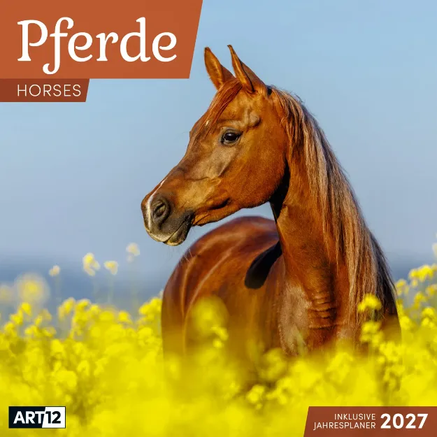 Bild von Pferde Kalender 2027 - 30x30 - Art12