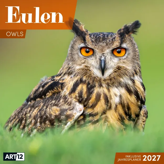 Bild von Eulen Kalender 2027 - 30x30 - Art12