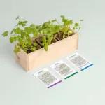 Bild von Mini garden Aromatic herbs