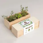 Bild von Mini garden Mediterranean