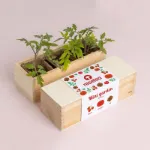 Bild von Mini garden Tomatoes