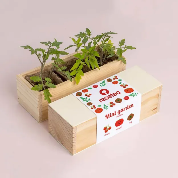 Bild von Mini garden Tomatoes