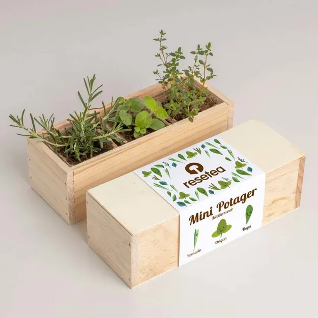 Bild von Mini potager méditerranéen