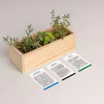 Bild von Mini potager méditerranéen