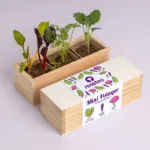 Bild von Mini potager de légumes étranges