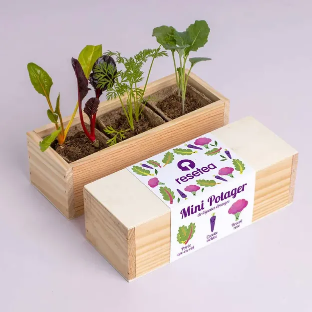 Bild von Mini potager de légumes étranges