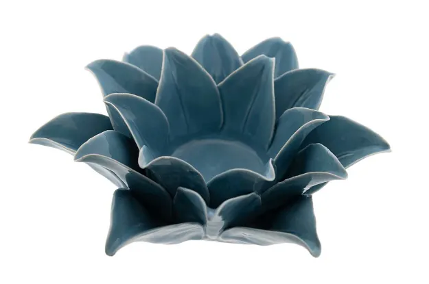 Bild von Lilie blau, gross