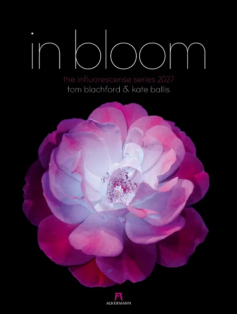 Bild von in bloom Kalender 2027