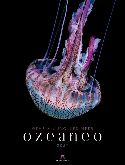 Bild von Ozeaneo Kalender 2027 - Geheimnisvolles Meer
