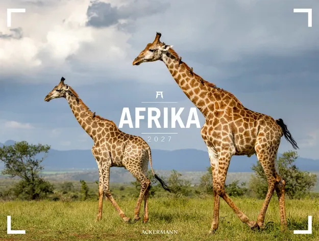 Bild von Afrika Gallery Kalender 2027