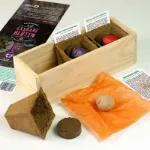 Bild von Anzuchtset Essbare Blüten (Ringelblumen, Garten-Stiefmütterchen und Grosse Kapuz