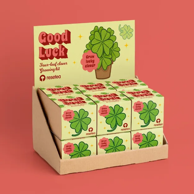 Bild von Good luck Display. Four-leaf clover growing kit (12 pcs)