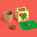 Bild von Good luck Display. Four-leaf clover growing kit (12 pcs)