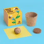 Bild von Save the bees. Pollinator flower growing kit