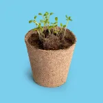 Bild von Save the bees. Pollinator flower growing kit