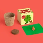 Bild von Bonne chance. Kit de culture de trèfle à quatre feuilles