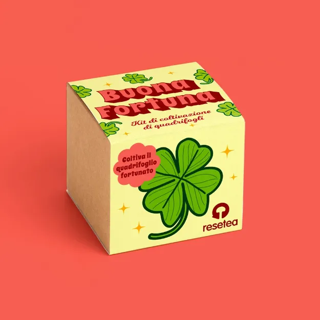 Bild von Buona Fortuna. Kit di coltivazione di quadrifogli