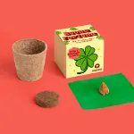 Bild von Espositore Buona Fortuna. Kit di coltivazione di quadrifogli (12 pcs)