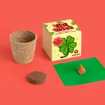 Bild von Good-Luck-Thekendisplay – 12 Stück