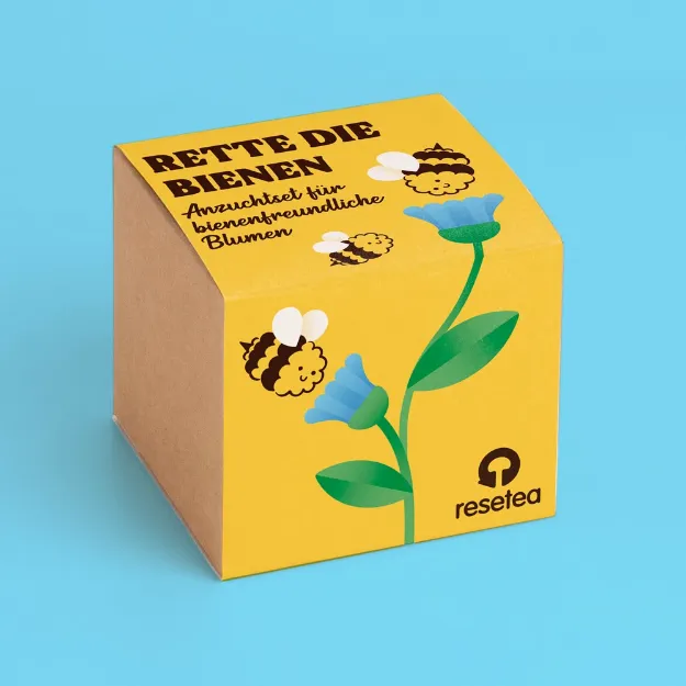 Bild von Save-the-Bees-Anzuchtset – Honigblumen