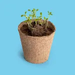 Bild von Save-the-Bees-Anzuchtset – Honigblumen