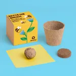 Bild von Save-the-Bees-Thekendisplay – 12 Stück