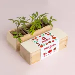 Bild von Mini-Garten – Tomaten