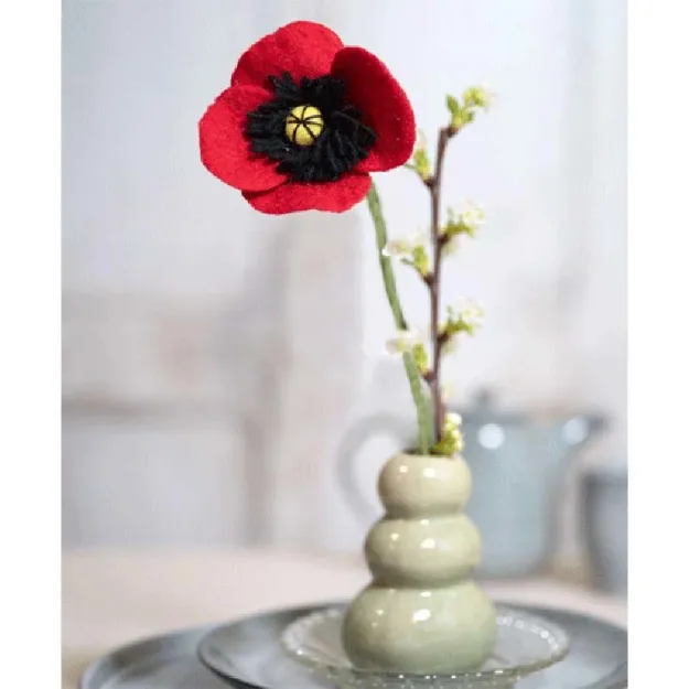 Bild von Filzblume Klatschmohn