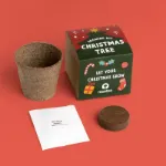 Bild von Christmas tree growing kit (english)