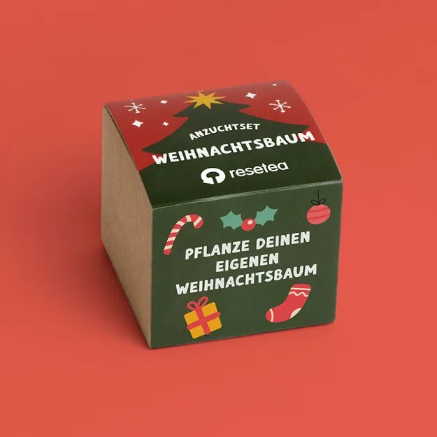 Bild von Anzuchtset Weihnachtsbaum