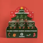 Bild von Display Anzuchtset Weihnachtsbaum (24pcs)