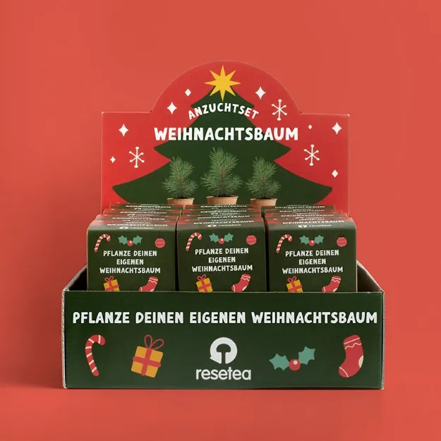 Bild von Display Anzuchtset Weihnachtsbaum (24pcs)