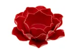 Bild von Rose rot, klein