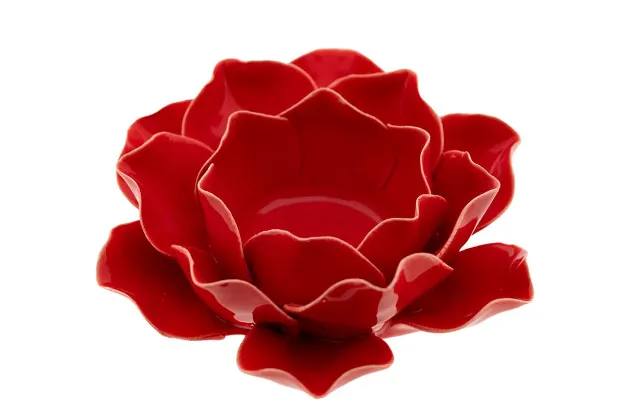 Bild von Rose rot, klein