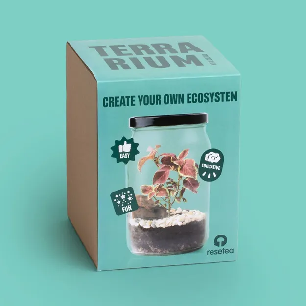 Bild von Terrarium (english)