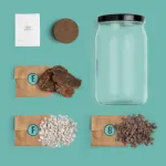 Bild von Terrarium (english)