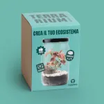 Bild von Terrarium IT