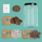 Bild von Terrarium IT