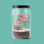 Bild von Terrarium – DE