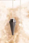 Bild von zwölfkantiger Schungit Pendel