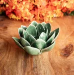 Bild von Lotus grün, klein