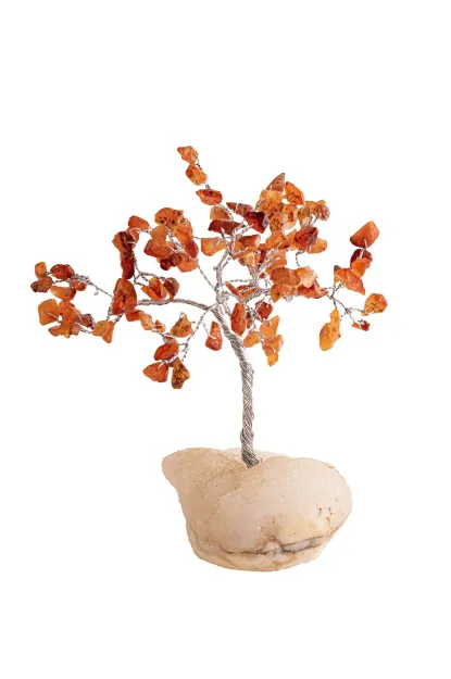 Bild von Kristallbaum Karneol